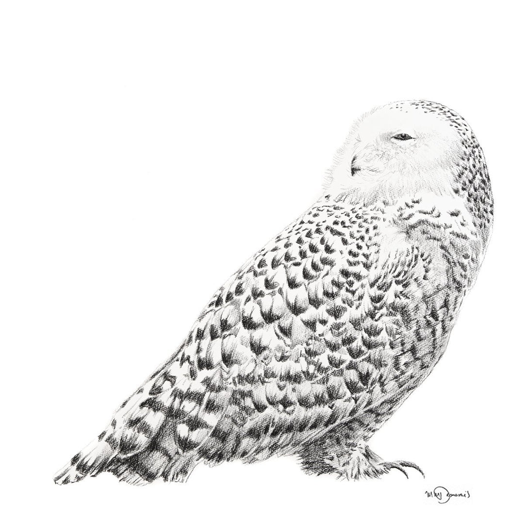 Snowy Owl - LE NID atelier