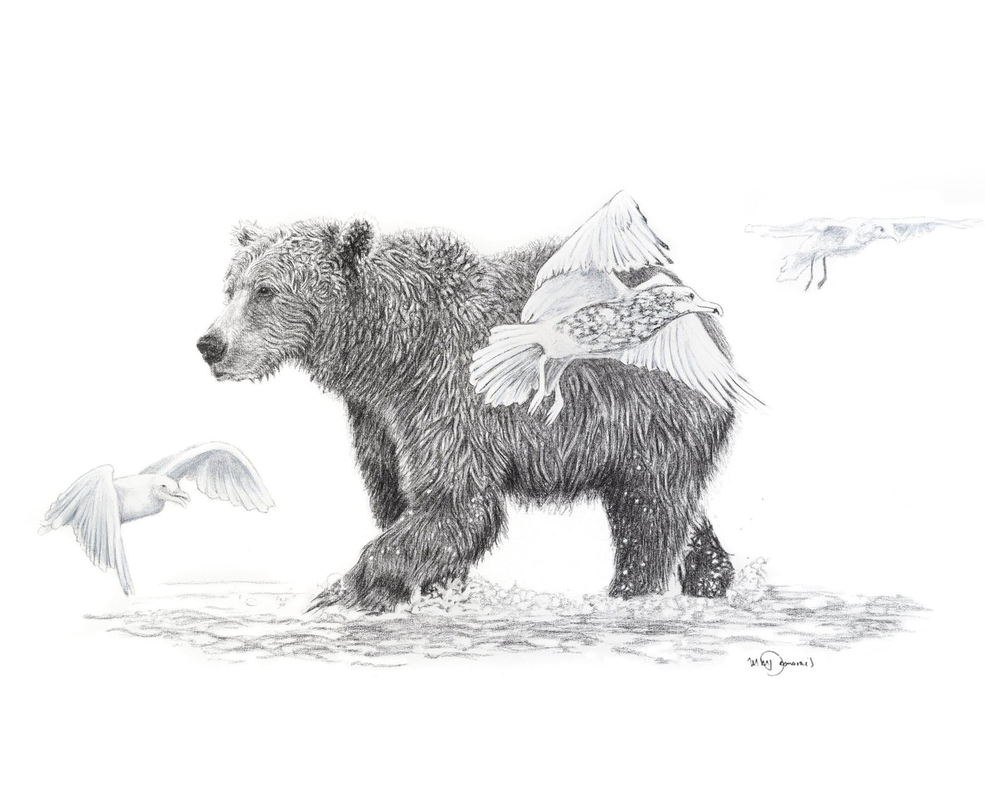 **SOLD- Original Artwork - Grizzly Bear Walking in water with birds - 36x60 - LE NID atelier