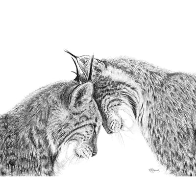 SOLD- Original Artwork - Lynx in love illustration - "Social Animal" Collection - LE NID atelier