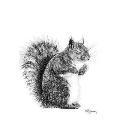 SOLD- Original Artwork - Sleeping Squirrel illustration - "Social Animal" Collection - LE NID atelier