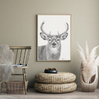 Stag - Wildlife illustration