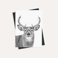 Stag - greeting card