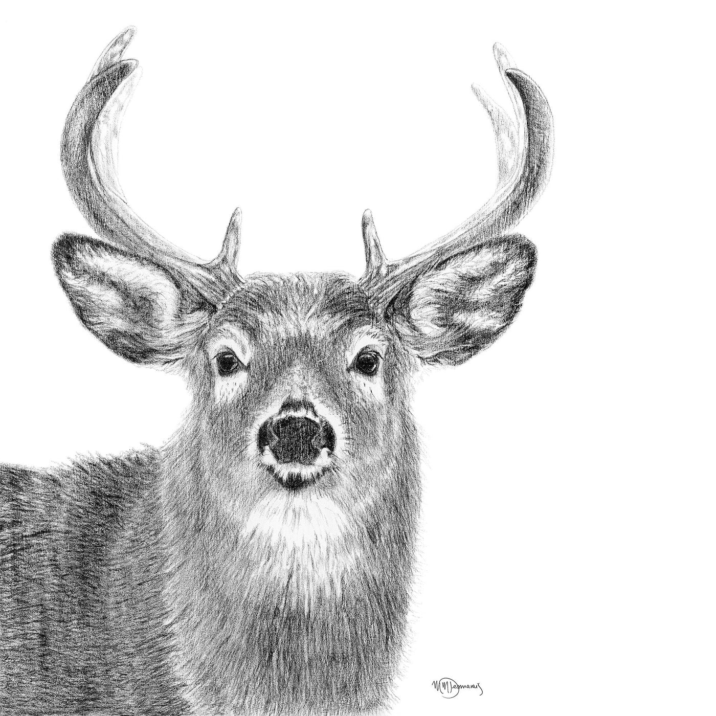 Stag - greeting card - LE NID atelier