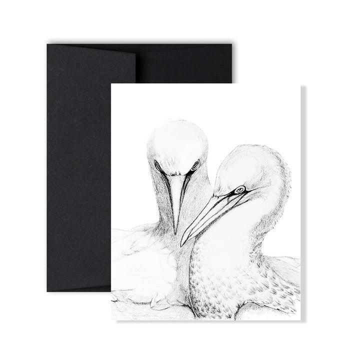 The Complete Seashore collection - 7 greeting Cards for 25$ - LE NID atelier