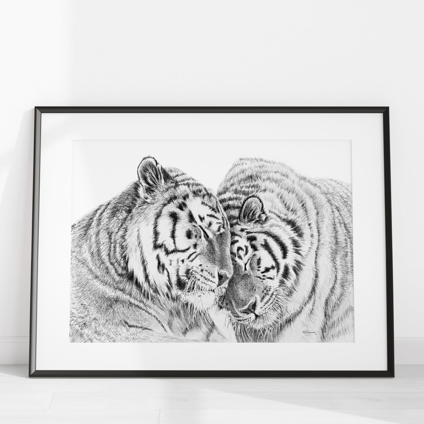 Tigers - Amur Tigers illustration - 25% of Profit go to La Fondation du Zoo de Granby - LE NID atelier