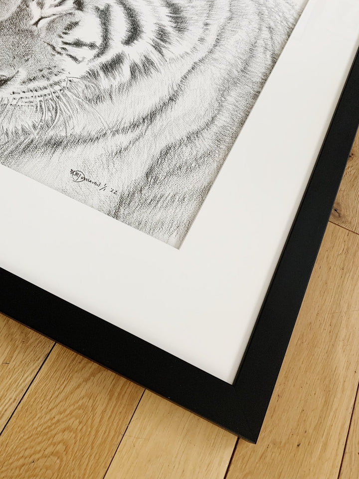 Tigers - Amur Tigers illustration - 25% of Profit go to La Fondation du Zoo de Granby - LE NID atelier